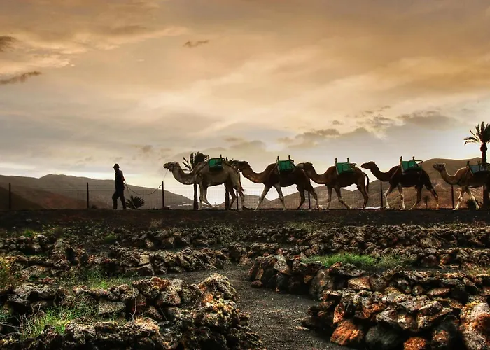 Appartamento Home2book Charming Teguise, Terrace