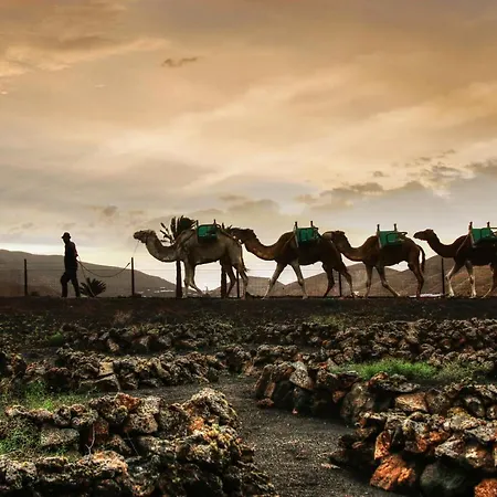 Apartament Home2book Charming Teguise, Terrace