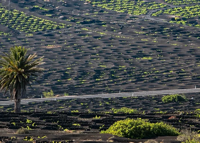 Home2book Charming Teguise, Terrace *